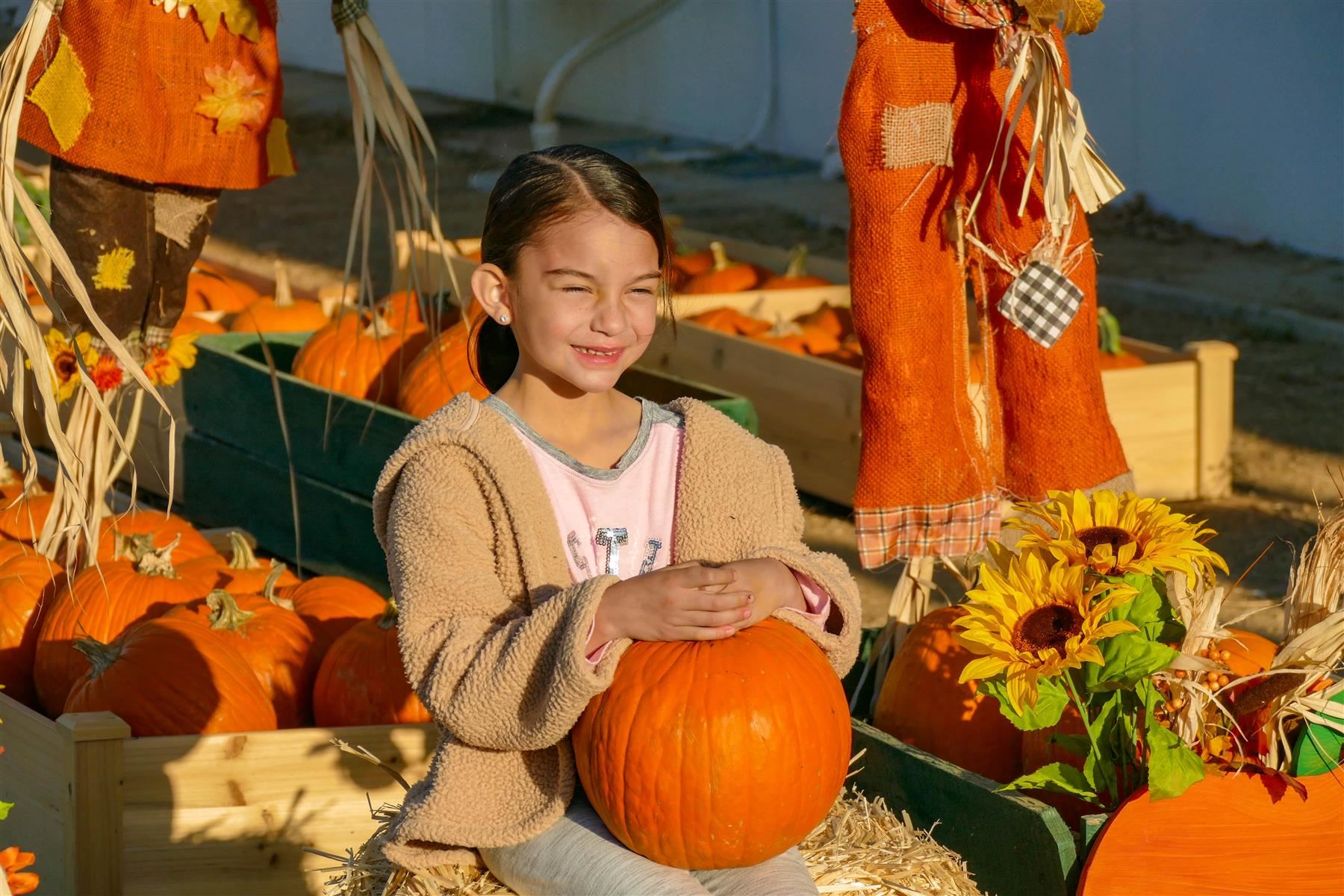 pumpkin day #3